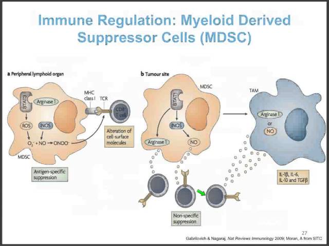 Cancer Revealed: How the Immune System Sees and Destroys Tumors, with Jeffrey Weber