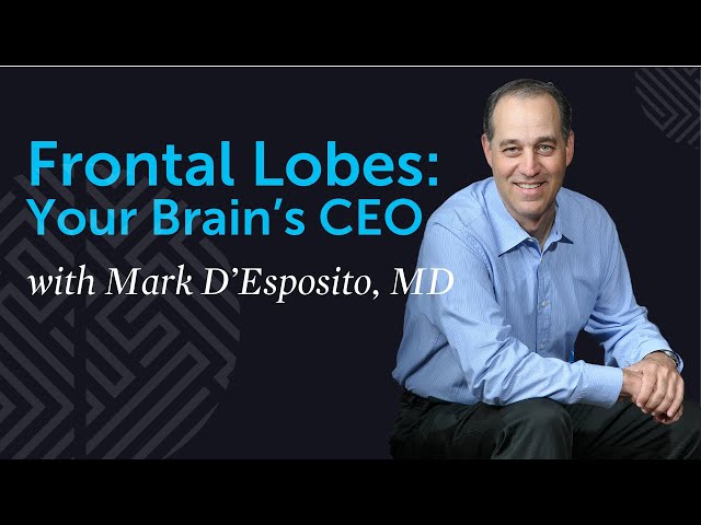 Learn about Brain Plasticity and the Frontal Lobes, Your Brain's CEO