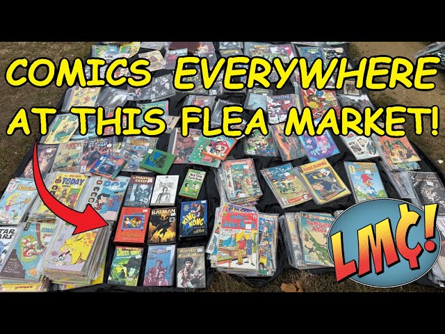 This Flea Market was FILTHY with Comic Books! (But were any of them worth picking up?)