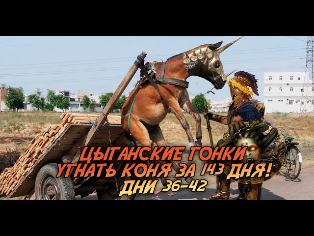 GYPSY RACING! STOLEN A HORSE IN 143 DAYS! Days 36-42. RAID SHADOW LEGENDS
