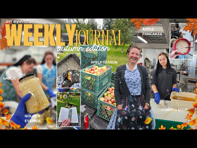 autumn’s gentle awakening 🍂🍎 | apple picking + garden & (some) canning