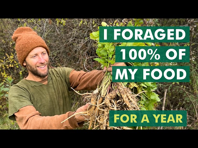 I Foraged 100% of My Food for a Year (Full Film)