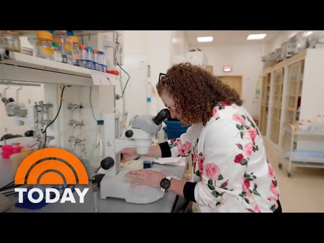 How ‘bio hackers’ are exploring options to reverse aging