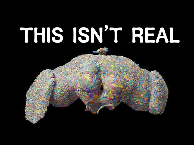 They Lied to you about the Virtual Fly Brain