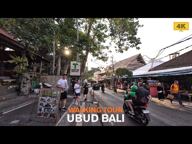 Relaxing 1 Hour Virtual Walking Tour UBUD BALI | Monkey Forest Street, Bisma Street Today 4K