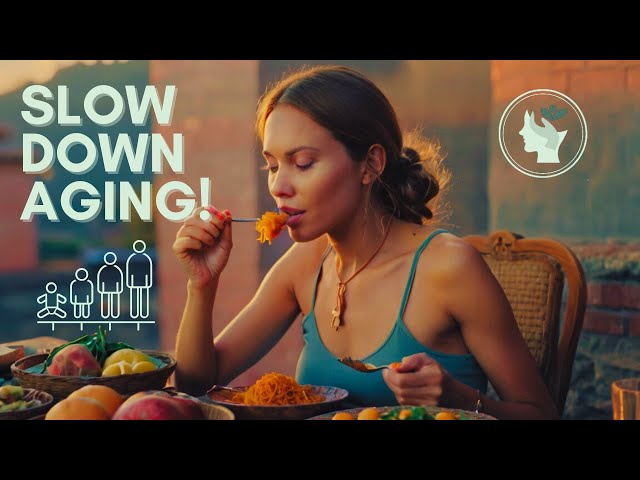 The Biology of Aging: How to Slow and Reverse the Aging Process