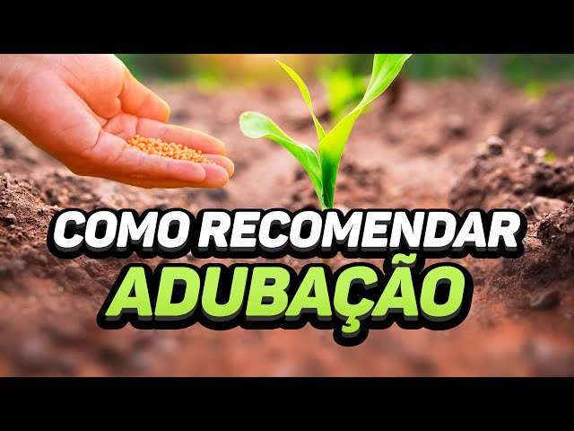 LESSON: HOW TO RECOMMEND FERTILIZATION