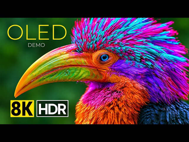 The Incredible OLED Display Demo 8K Dolby Vision | HDR Dolby Vision 4K Video | 16K ULTRA HD