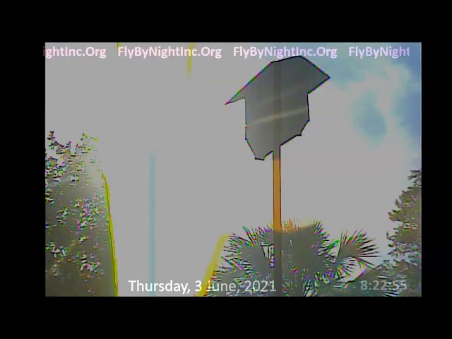 FBN Live BatCam