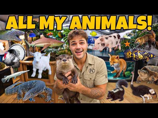 All of My ANIMALS on the FARM in ONE Video!!