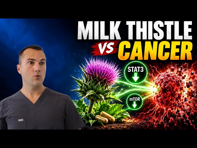 How Milk Thistle ATTACKS Cancer Cells: Beyond Liver Support