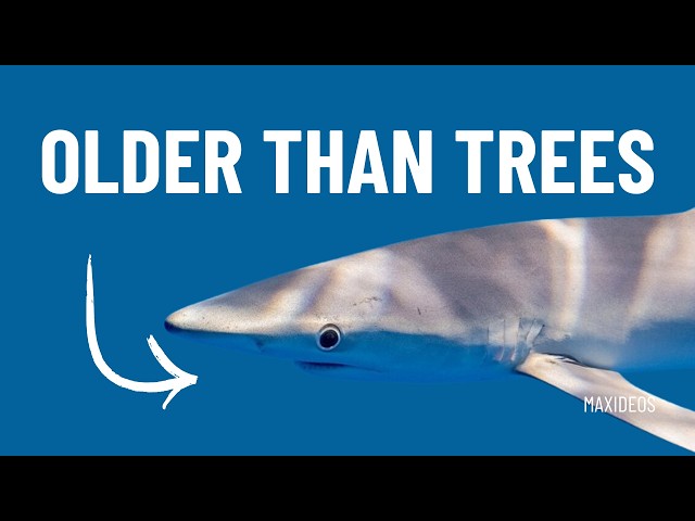 20 Animal Facts That Sound Fake But Are 100% Real