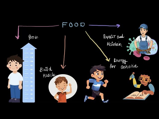 Introduction to Nutrients | Middle School Science | Khan Academy