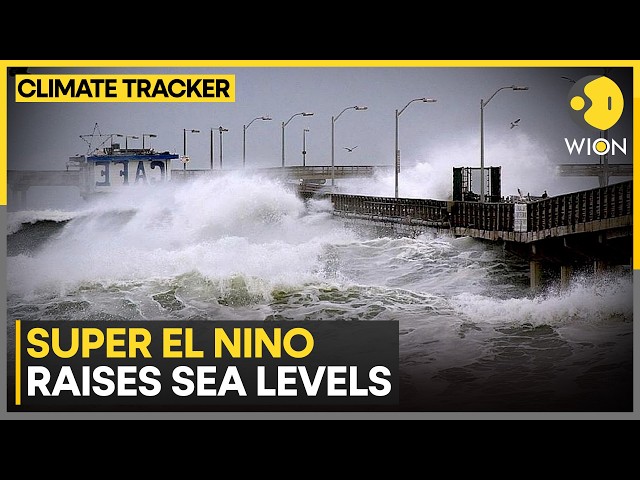 Rising Oceans Could Turn Powerful Storms into Disaster | WION Climate Tracker