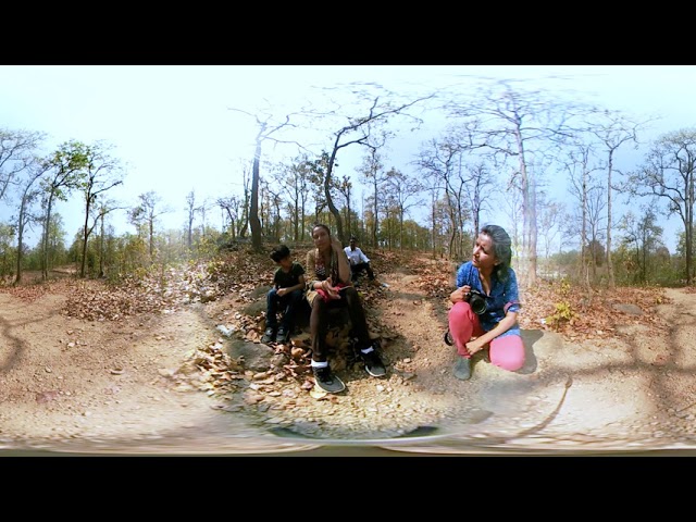 India_vr: Sal Trees of Jharkhand