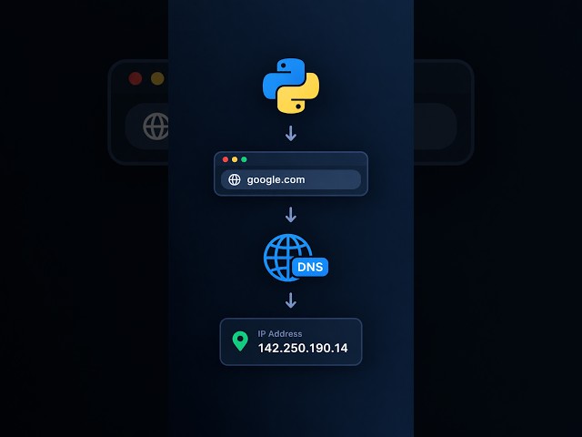 Find Any Website’s IP Address with Python in Seconds