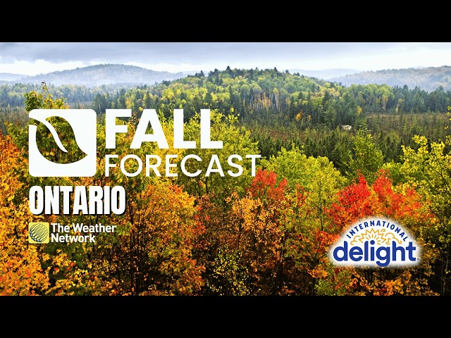 Ontario’s 2026 Fall Forecast: Slow slide into winter thanks to El Niño | #fallforecast2026