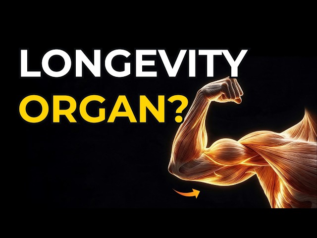 💪 Is Muscle an Organ? What It Does for Longevity 🧬