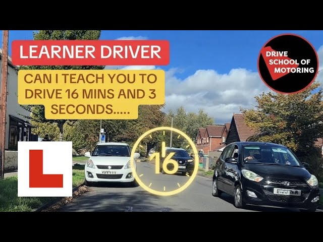 COPY A DRIVING INSTRUCTOR TO PASS 1ST TIME