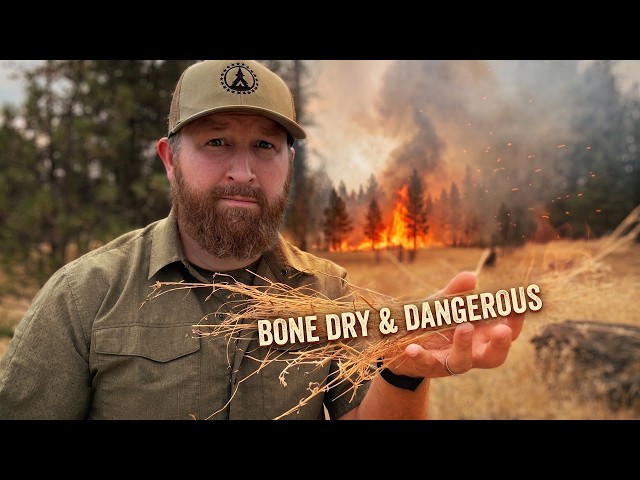 Wildfires Near Home | Update