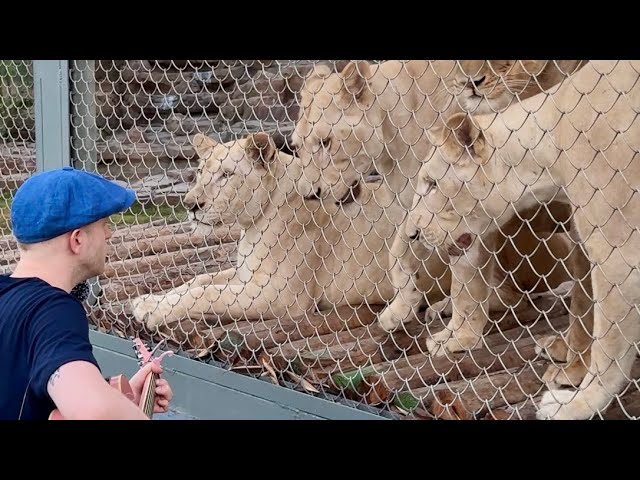 Singing for Animals Compilation 🥹❤️‍🩹