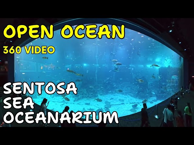 Open Ocean 8K 360 video  | Sea Oceanarium Resort World Sentosa