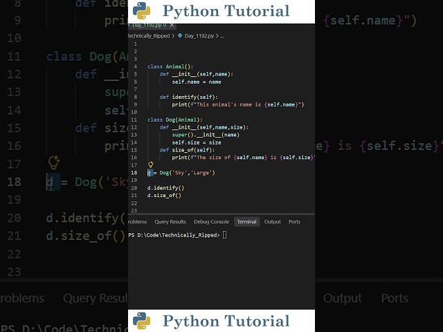 How Inheritance Works in Python | Python Tutorial