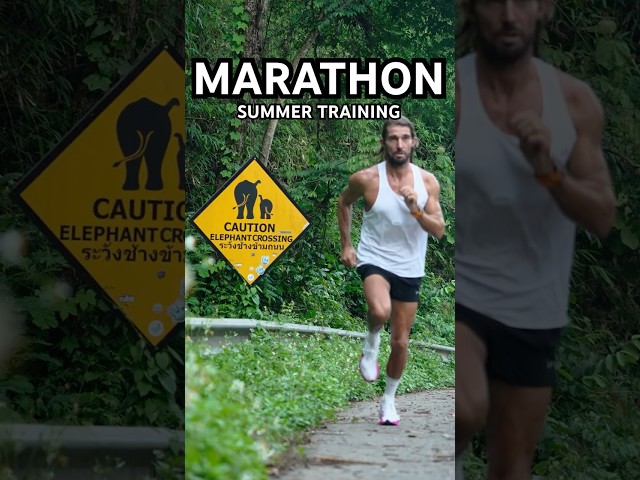 Training for a Marathon in the Heat? You Don’t Need to Suffer ☀️🏃