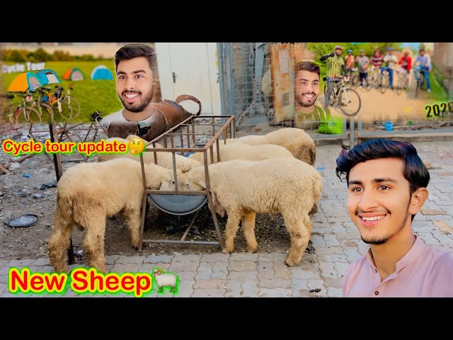 Cycle Tour Update🧐Video Kyon Ni Aa Rahe🤔New Sheep Aya Gaya❤️/koki pendu/Zohaib pendu