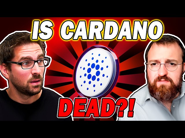 "The Best Year Cardano Has Ever Had"