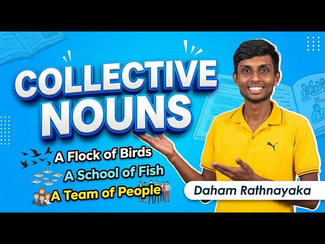 Collective Nouns with Daham Rathnayaka
