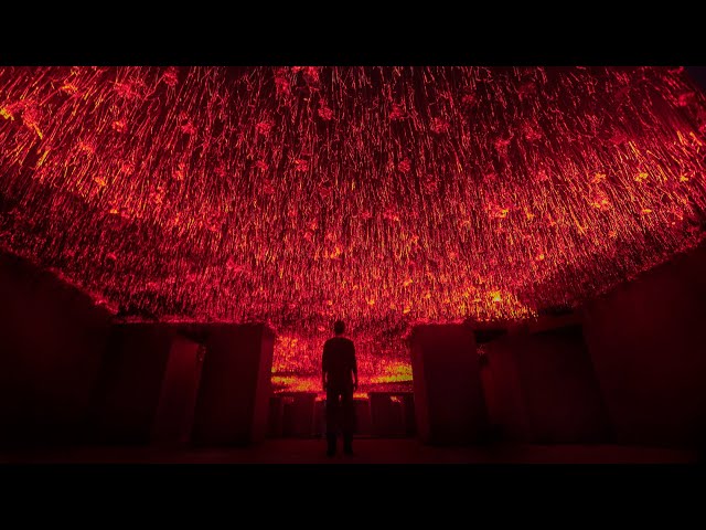 Immersive Art Installation by TUNDRA