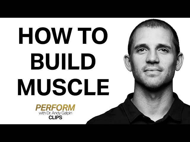 The 72-Hour Rule for Building Muscle | Dr. Andy Galpin