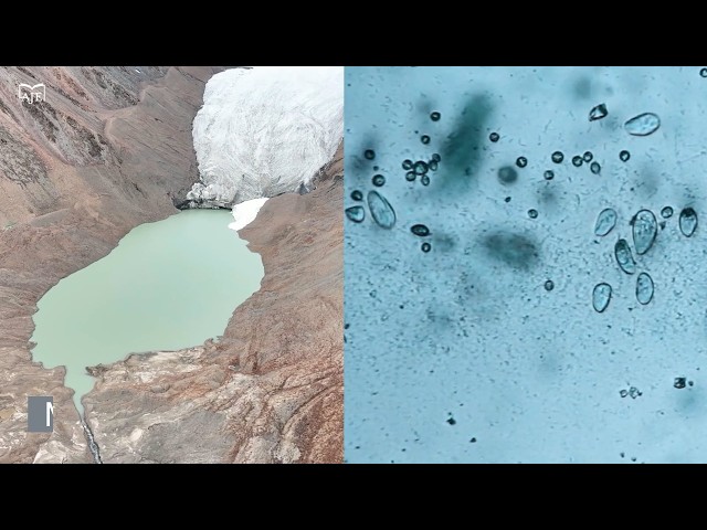 Microbial control of seasonal methane emissions in proglacial lakes on the Tibetan Plateau