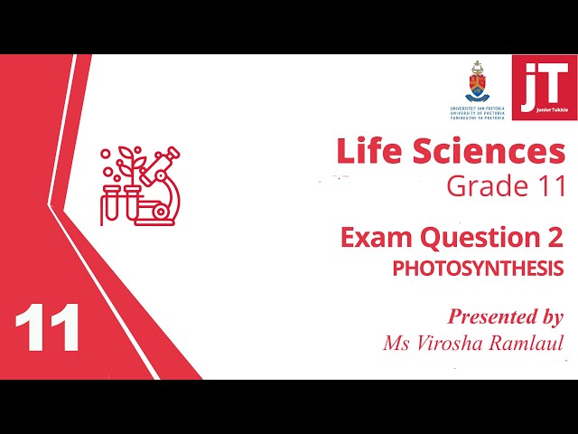 6  Gr 11 Life Sciences - Photosynthesis - Exam Question 2