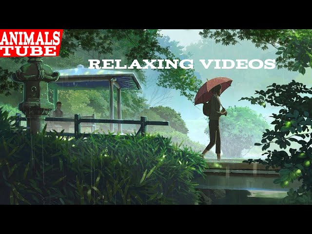 beautiful relaxing videos in 8K/HD TV and nature sound, stress free with animals tube, not cartoon