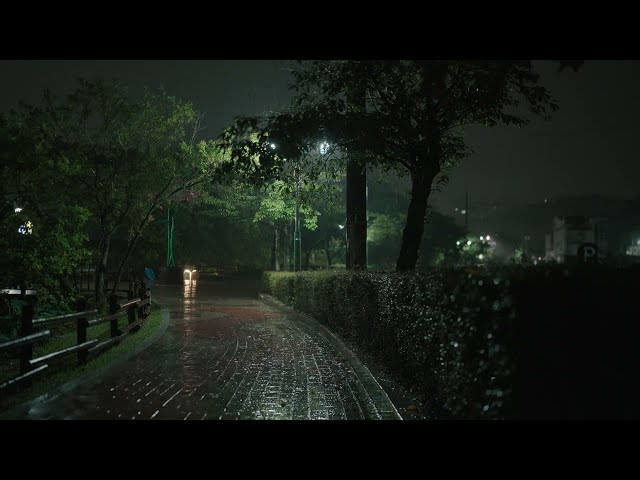 Cozy Sound of Rain | Relax | Meditation | Healing | Stress Relief