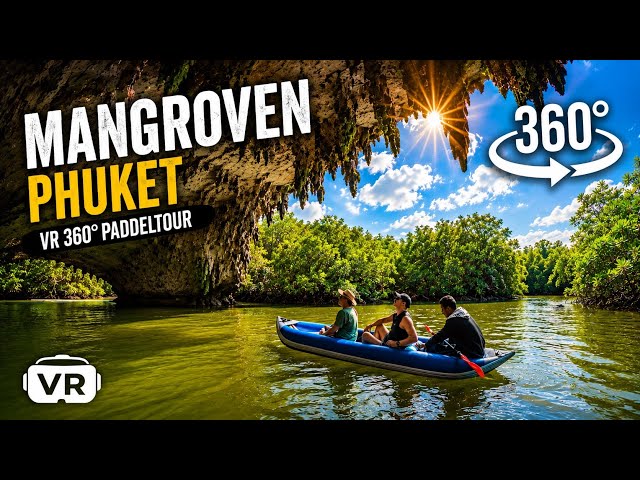 VR360 : Mangroven Experience Thailand National Park 2026 