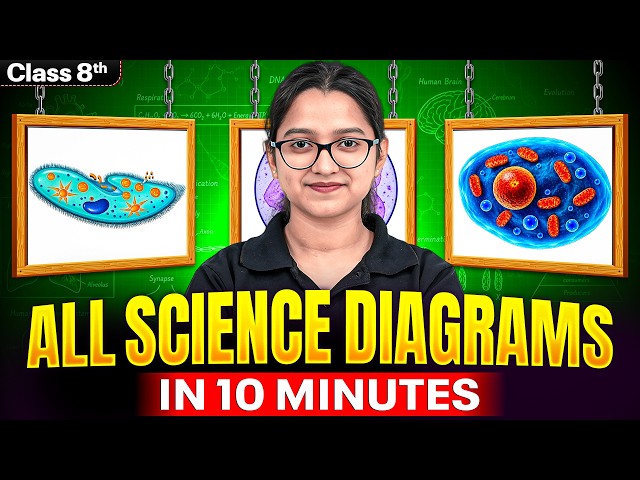 All Important Science Diagrams in 10 Minutes 🔥  | Class 8th | Quick Revision