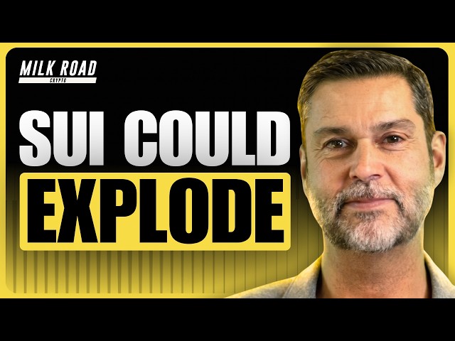 Raoul Pal: How Sui Could Become One of Crypto’s Top 5 Chains
