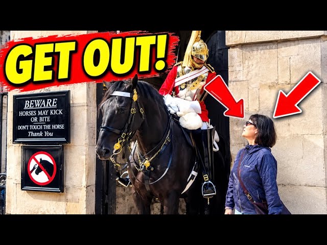 WARNING IGNORED! Tourists BREAK the Rules at Horse Guards!