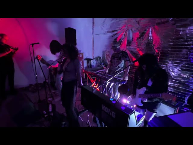 Donzii - "Green Elevator / Luxury Condo Theme / Funny Pants (live at Babe House on April 23, 2024)"