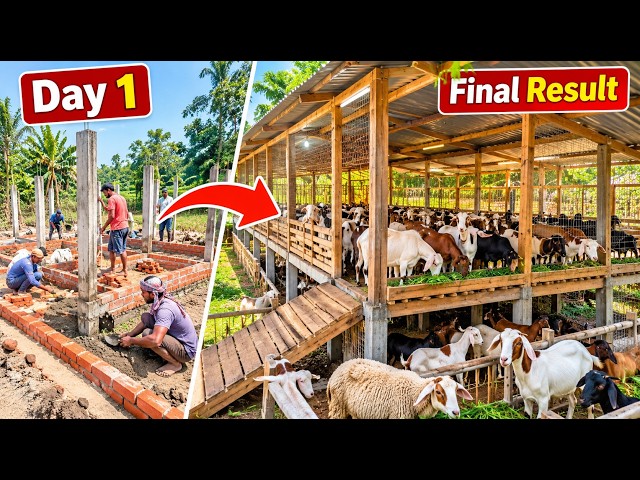 Sheep & Goat Farm House Construction 🐐 | Day 1 to Final Result | SDP Animal Farm