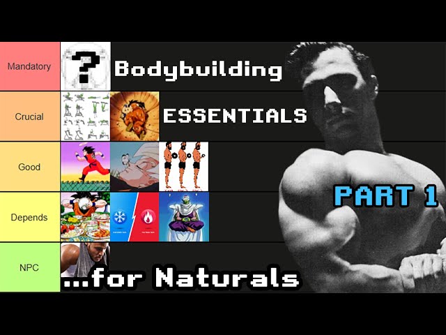 Natty Bodybuilding Tier List — The Guide to Fundamentals Pt. 1