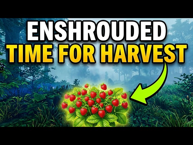 A Time for Harvest Enshrouded Quest Guide