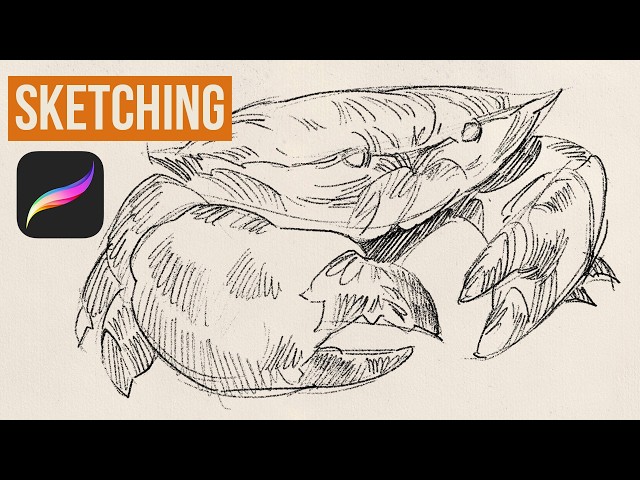 Sketching with my Pencil Brushes in Procreate