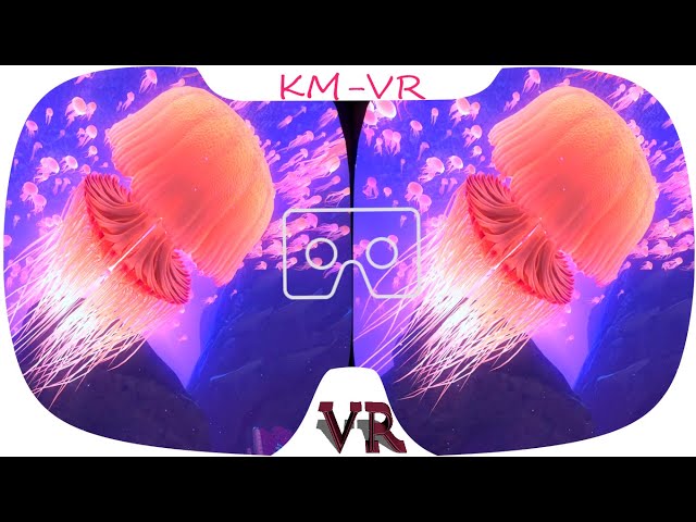 3D VR VIDEOS 527 4K