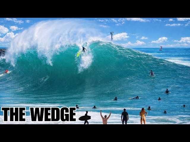 The Wedge  – 24/7 Insane Surf Chaos Stream 🌊 | Raw Footage | loop