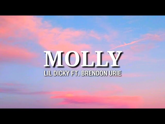 Lil Dicky - Molly (Lyrics) Ft. Brendon Urie