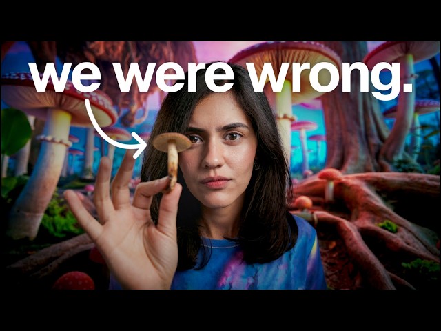 What Psychedelic Drugs ACTUALLY Do To Your Brain